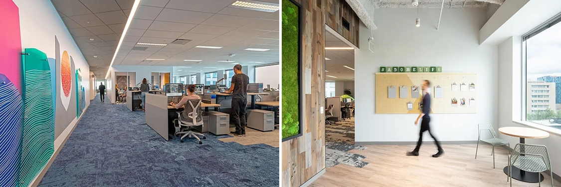 �칫����װ�����