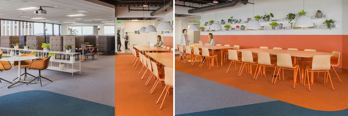 �칫����װ�����